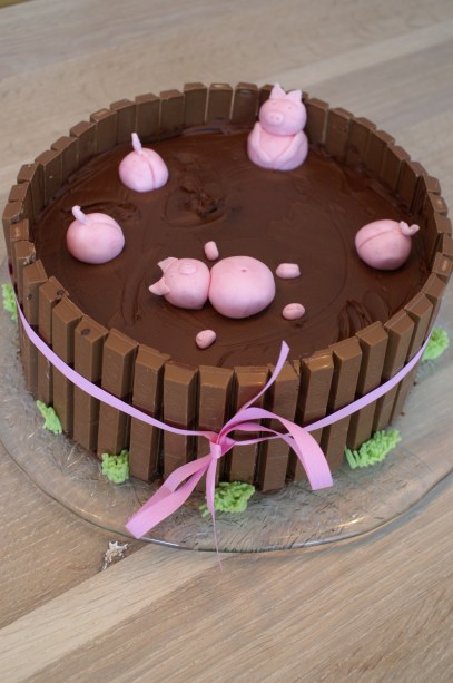 KONICA MINOLTA DIGITAL CAMERA