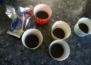 KONICA MINOLTA DIGITAL CAMERA