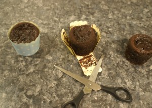 KONICA MINOLTA DIGITAL CAMERA