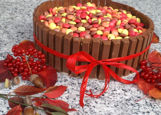 KONICA MINOLTA DIGITAL CAMERA