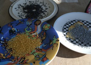 KONICA MINOLTA DIGITAL CAMERA